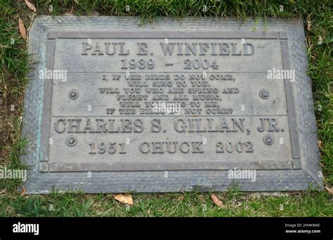 paul winfield net worth|charles gillan jr photo.